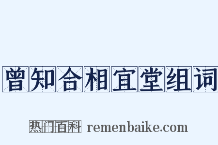 曾知合相宜堂组词是什么意思的图片